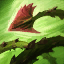 E: Grasping Roots